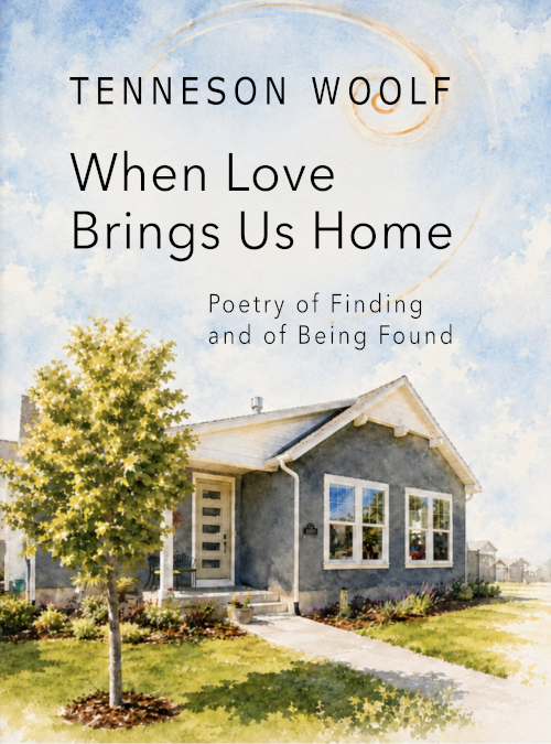 When Love Brings us Home - Book Cover